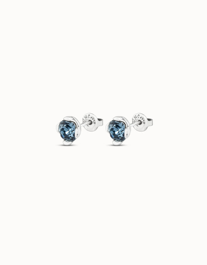 Charismatic Blue Crystal Earrings