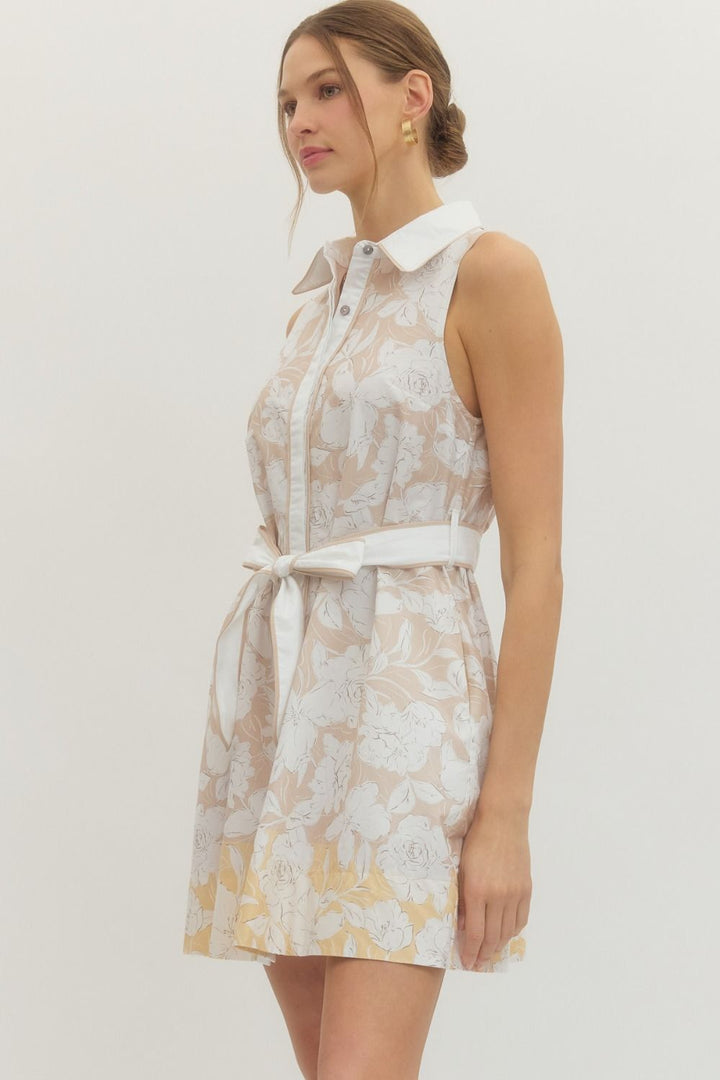 Latte Day Dress
